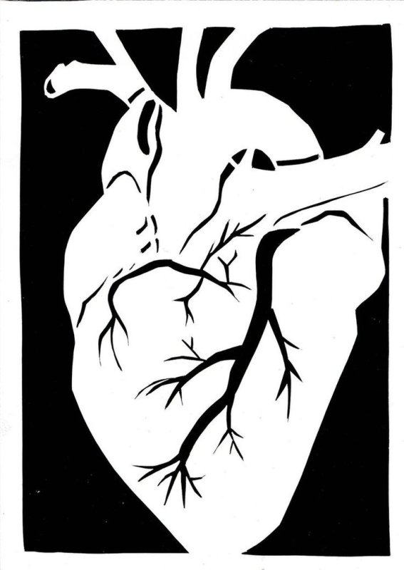 Сердце человека трафарет