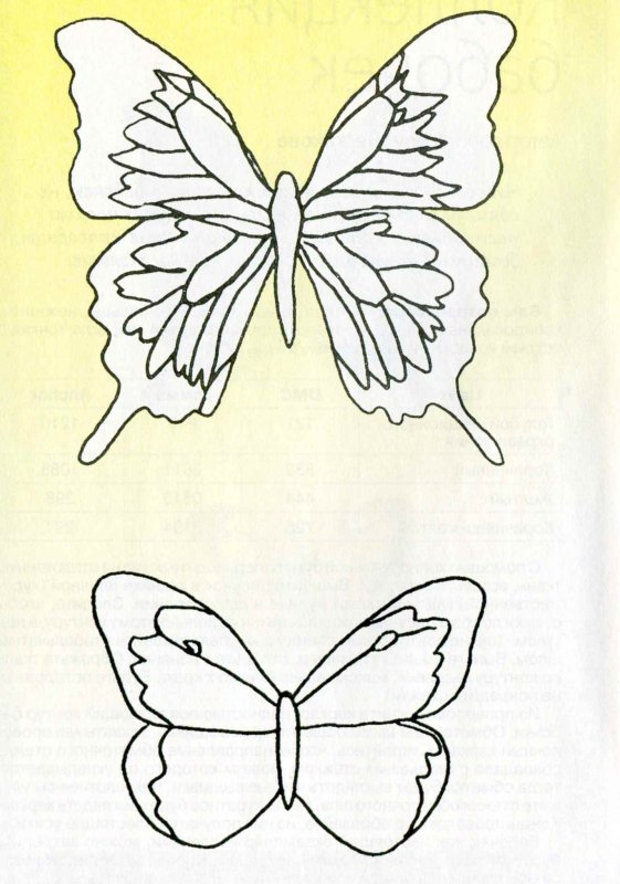 Трафарет бабочки для вышивки