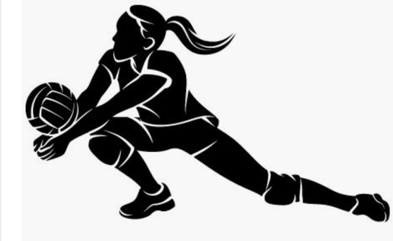 Женский волейбол