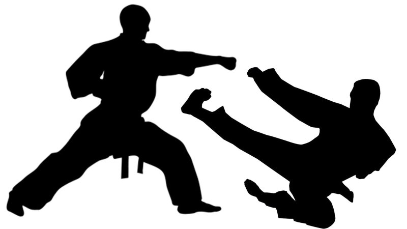 Единоборства силуэт