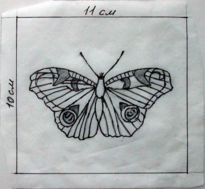 Бабочка схема