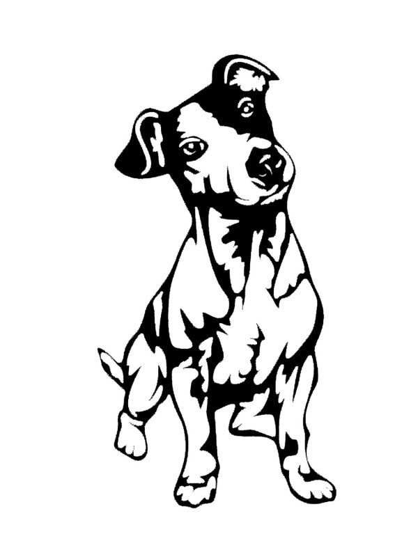 Джек Рассел