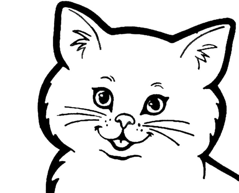 Раскраска мордочка кошки