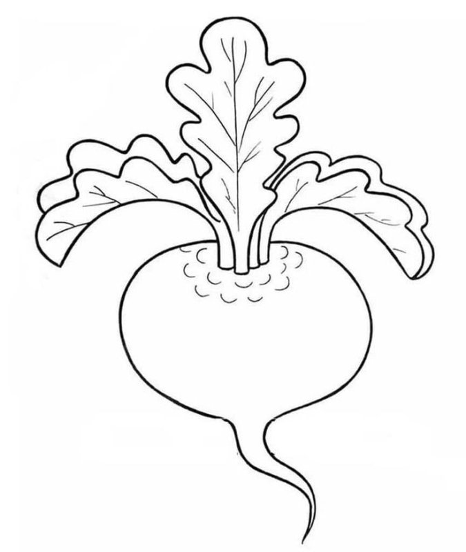Репка раскраска для детей