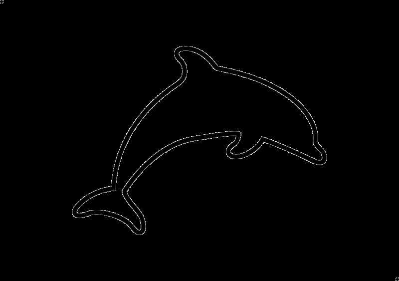 Силуэт дельфина