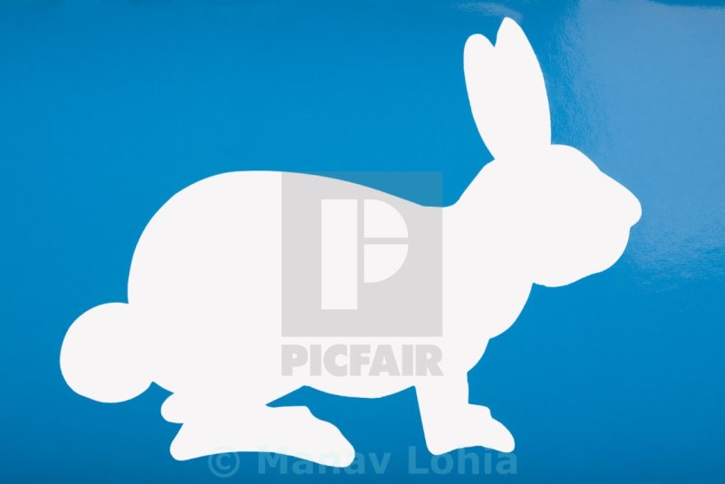 Трафарет зайца для рисования