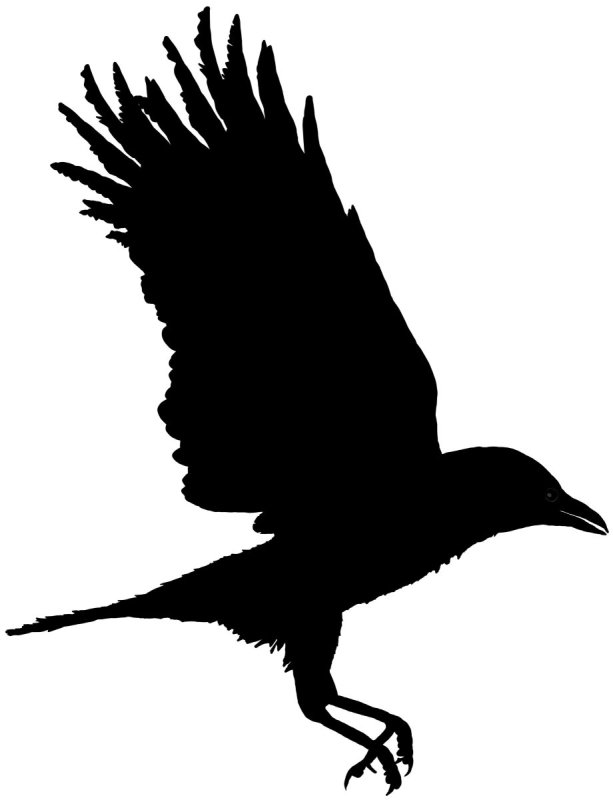 Силуэт ворона