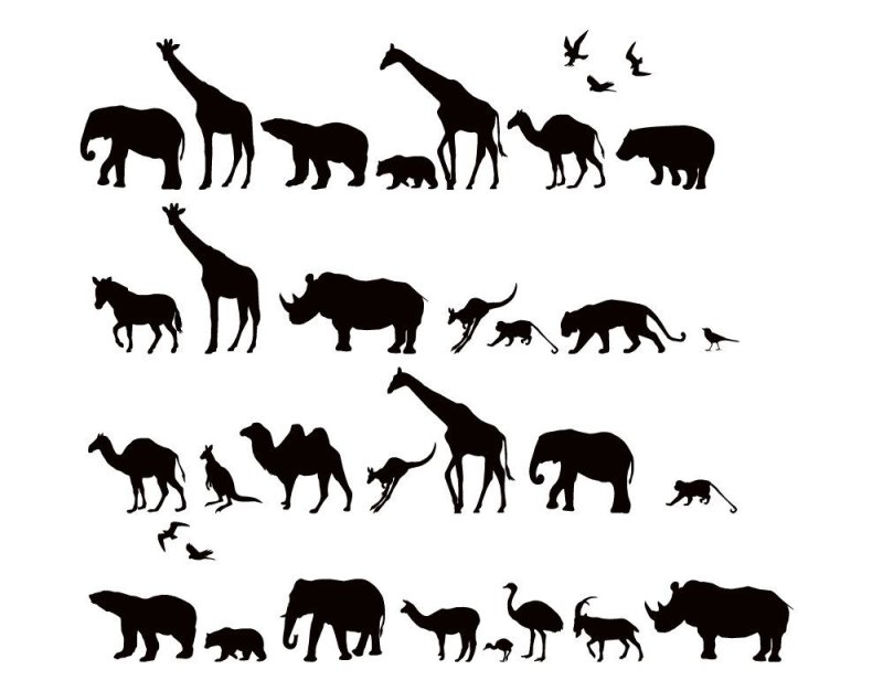 Тени животных