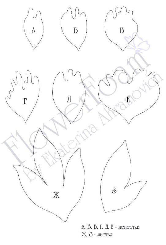 Выкройка лепестков пиона