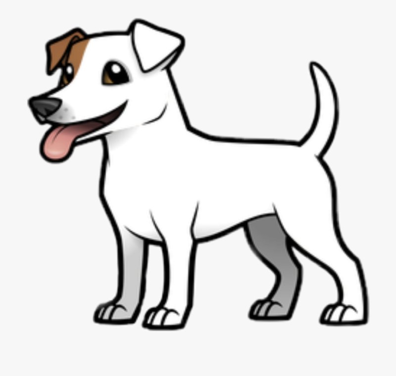 Джек-Рассел-терьер сбоку