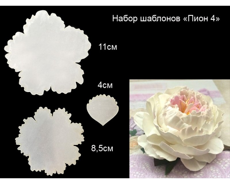 Пион из фоамирана шаблон