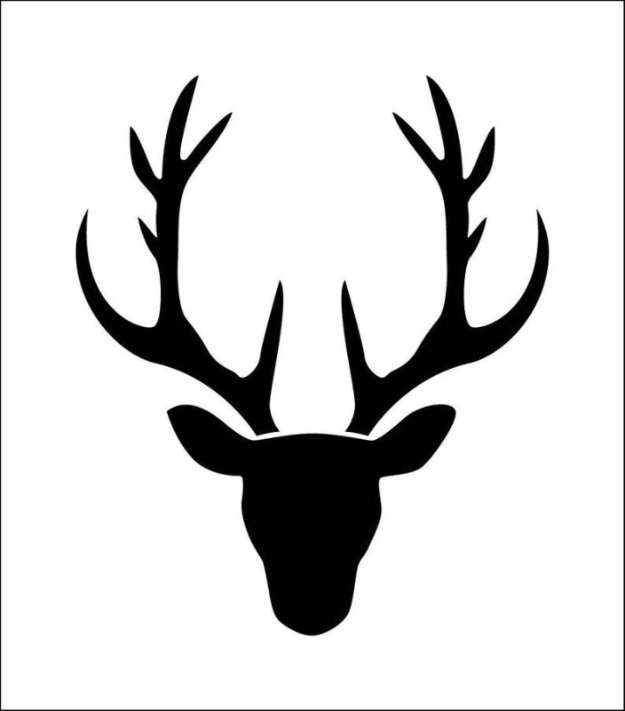 Олень морда силуэт