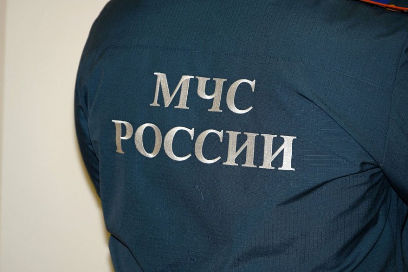 Вышивка МЧС России на спине