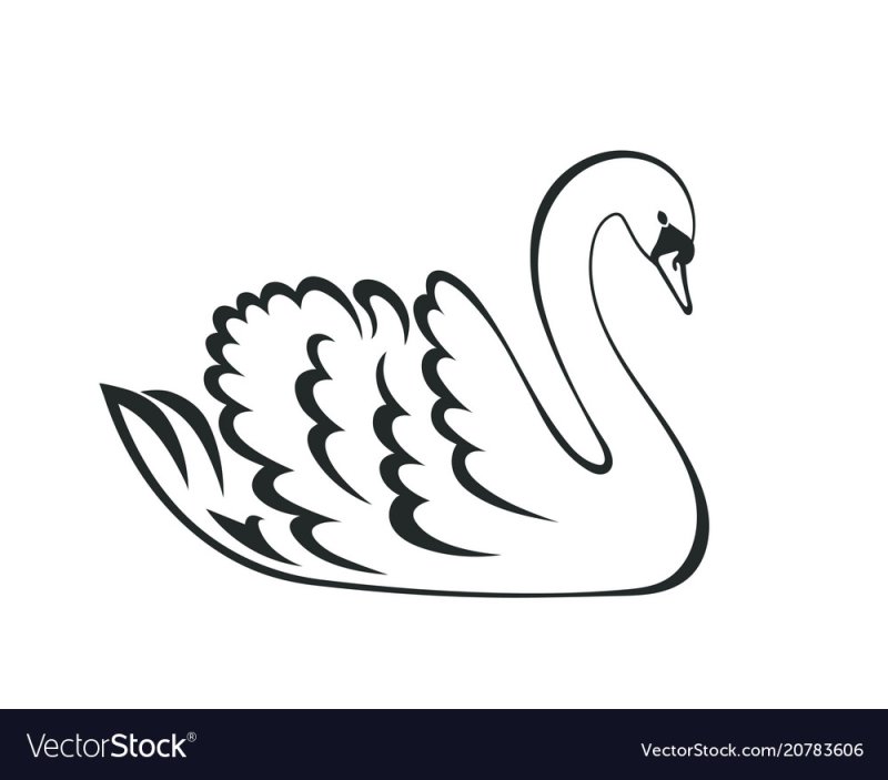 Лебедь рисунок