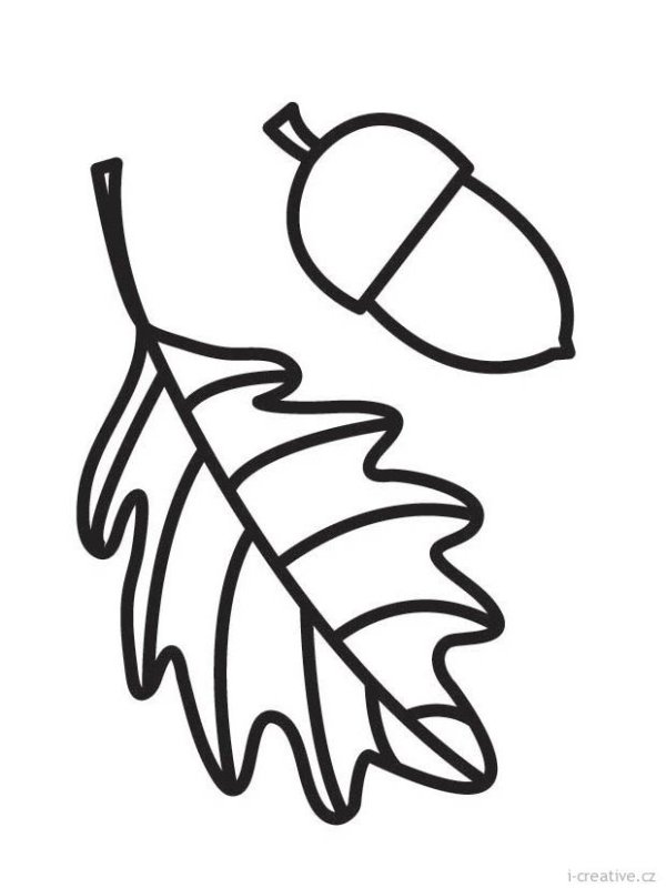 Дубовый лист раскраска