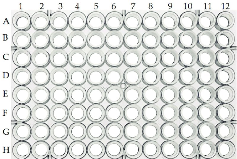Схема для бисера плетения пустая