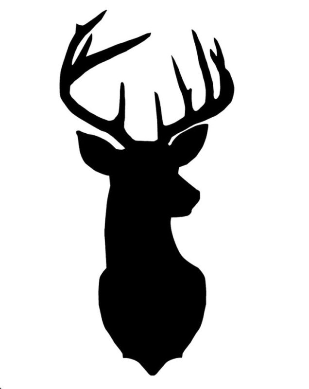 Очертание оленя