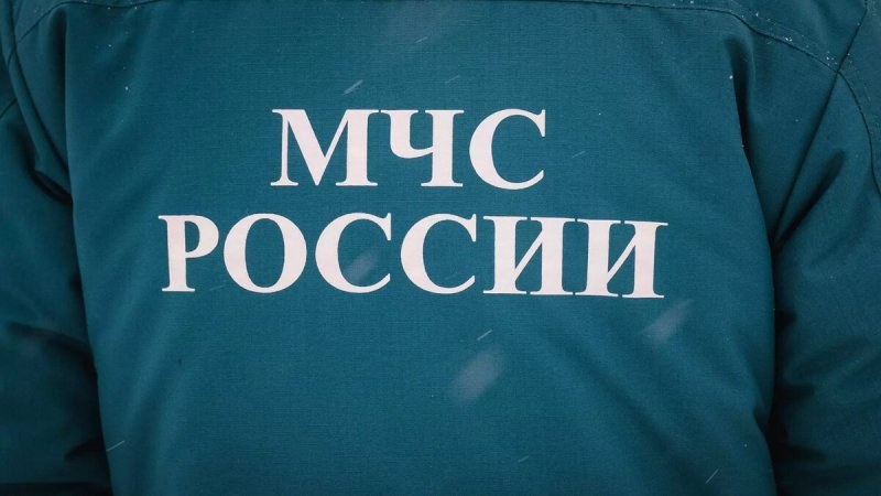 Надпись МЧС России на спину