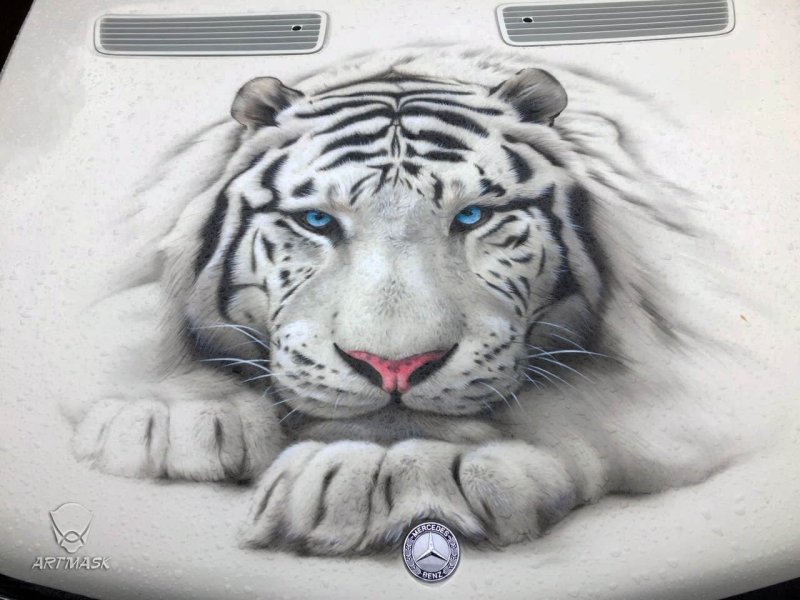 Аэрография на авто тигрица