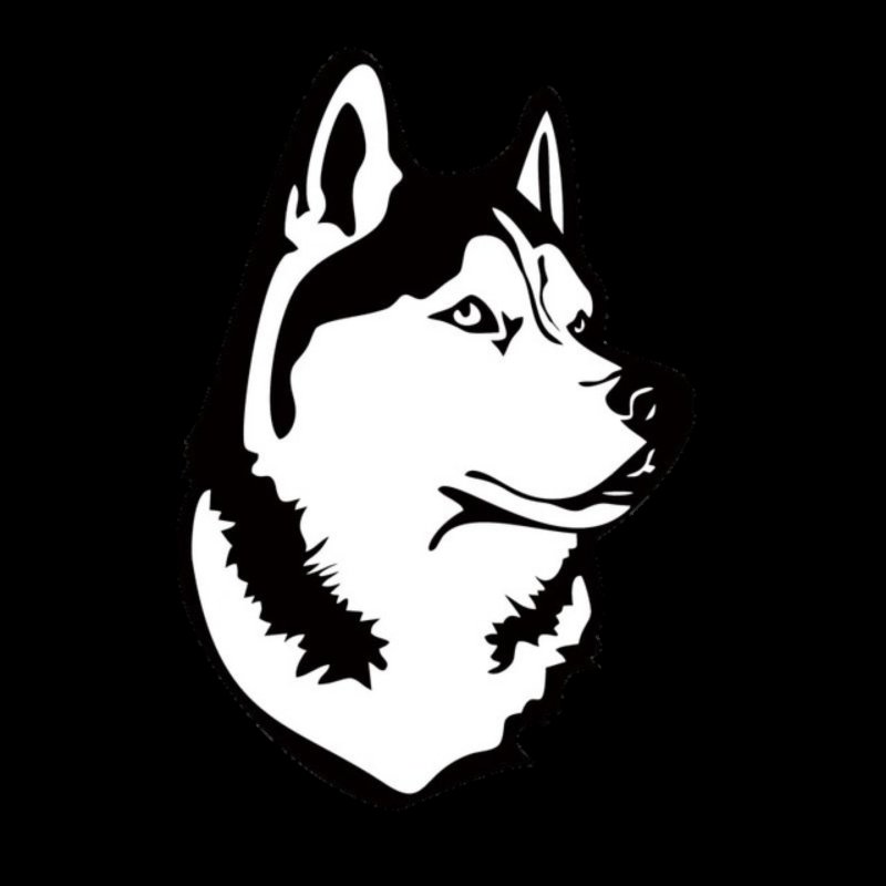 Хаски черно белый рисунок