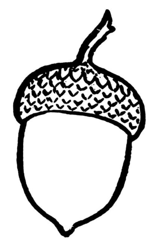 Желуди для раскрашивания