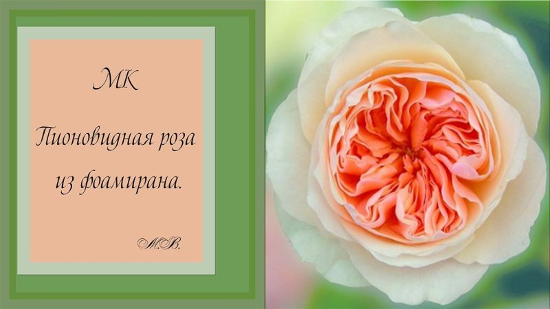 Пионовидная роза мастер класс