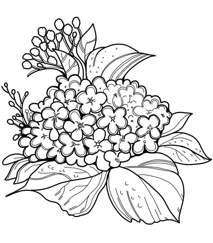 Раскраска букет цветов