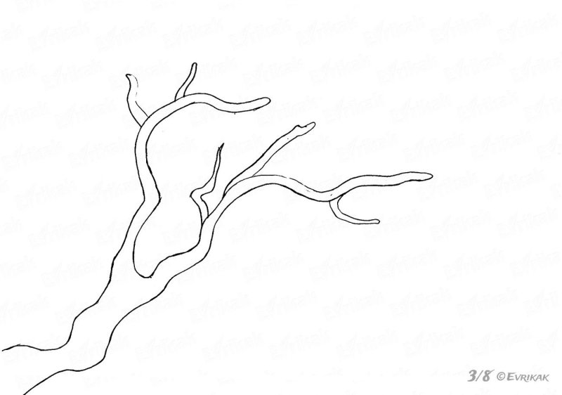 Ветка рисунок