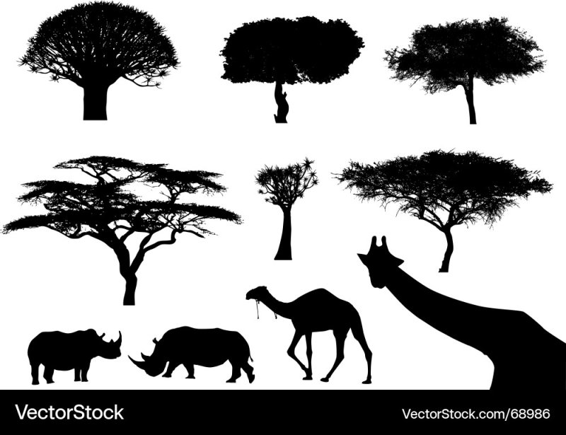 Силуэты деревьев и животных