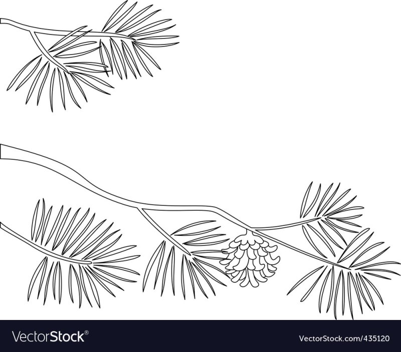 Трафарет сосновой ветки