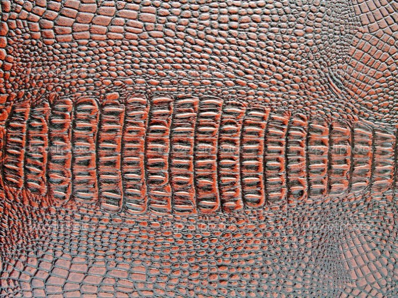 Кожа крокодила текстура