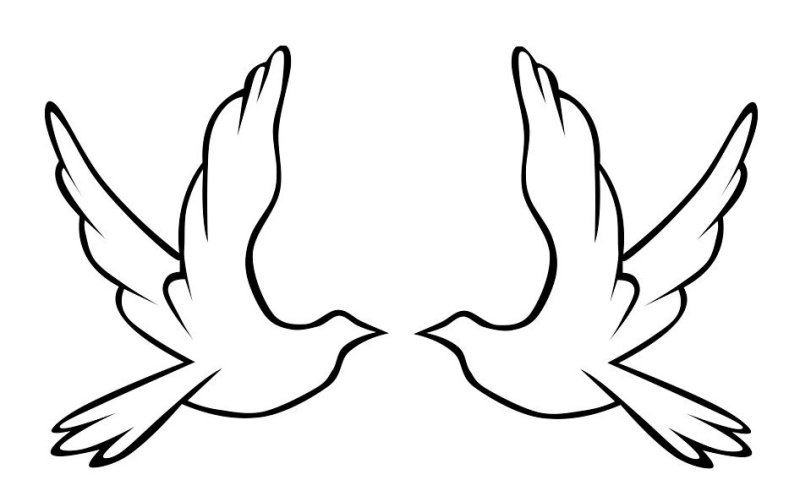 Голубь мира раскраска