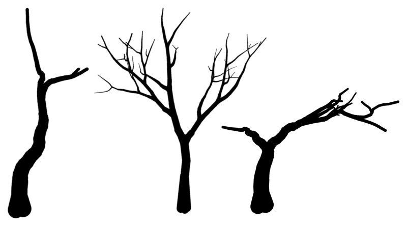 Ствол дерева силуэт