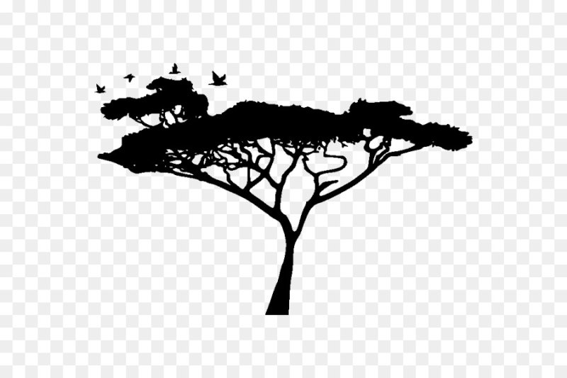 Очертание дерева