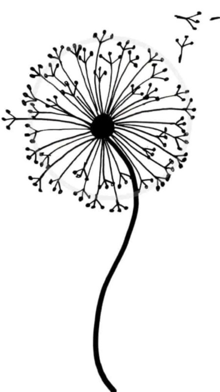 Одуванчик рисунок легкий