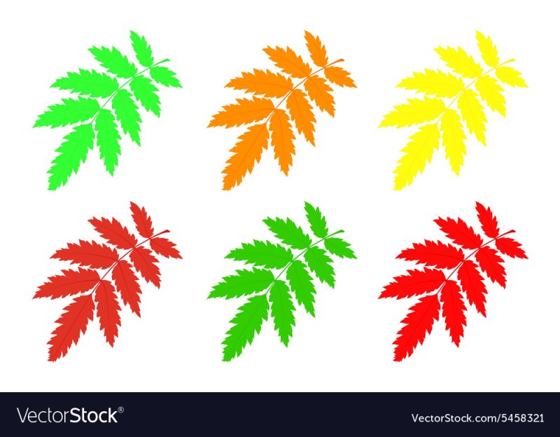 Листок рябины для вырезания