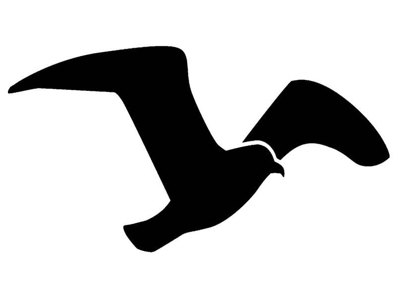 Шаблон чаек