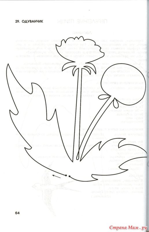 Одуванчик раскраска для малышей