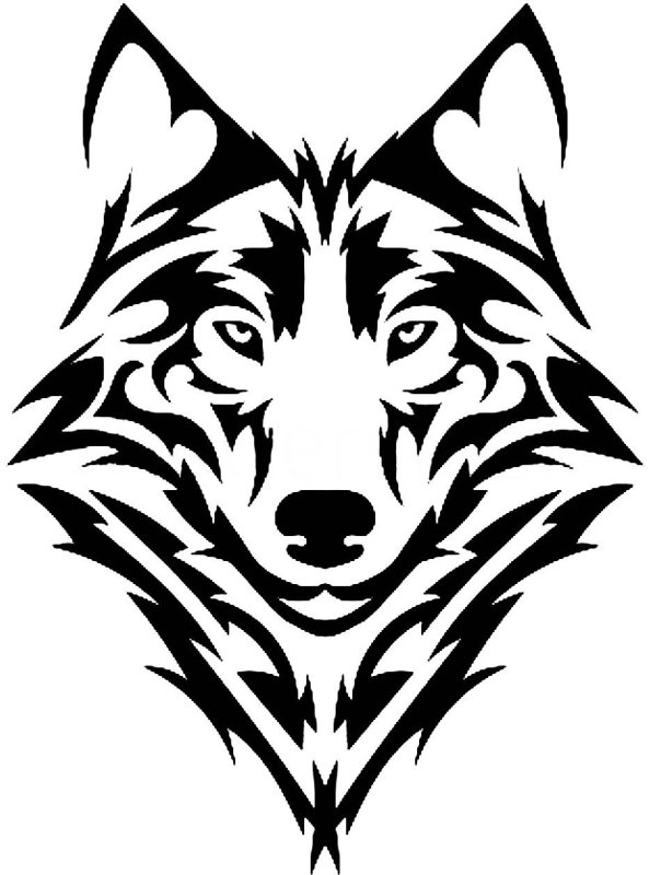 Векторное изображение волка