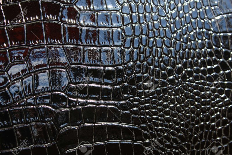 Змеиная кожа текстура