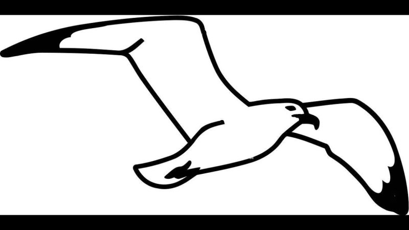 Чайка трафарет для вырезания