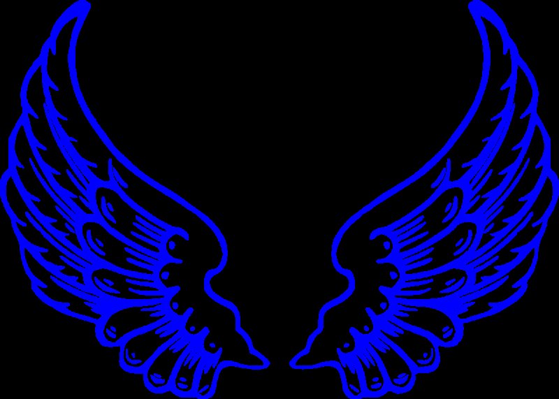 Крылья ангела