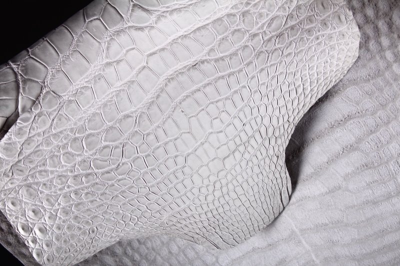 Шкурка сиамского крокодила