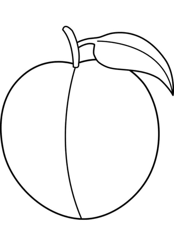 Слива раскраска для детей