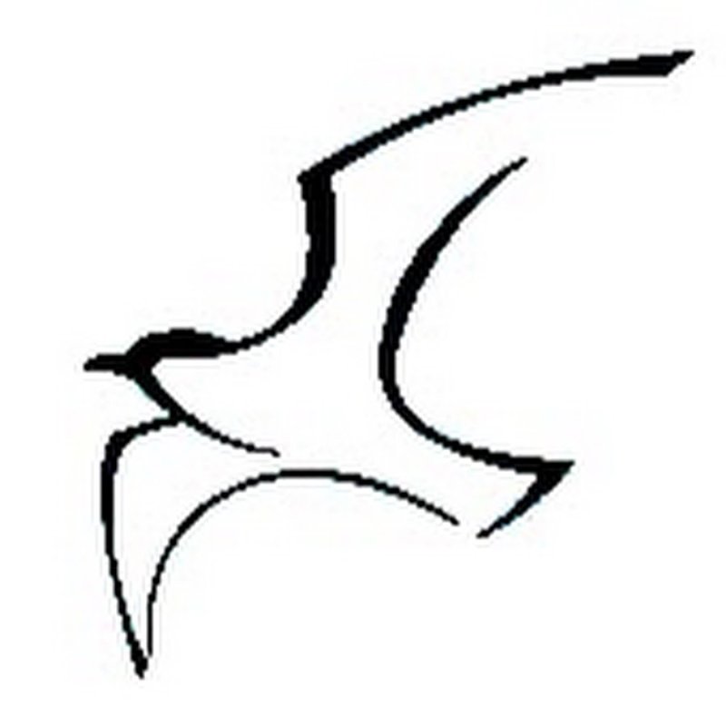 Контур Чайки птицы