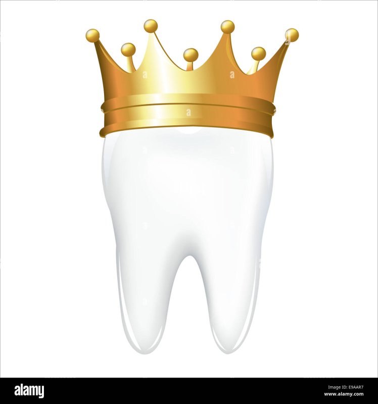 Зуб с короной иллюстрация
