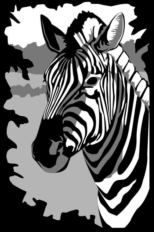 Трафареты для стен Зебра