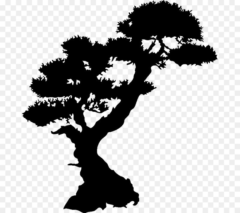 Силуэт дерева