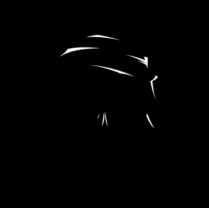 Символ пиратов веселый Роджер