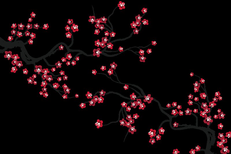 Ветка Сакуры